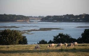Vue des parcs ostréicoles depuis la campagne proche de notre gite dans le golfe du Morbihan