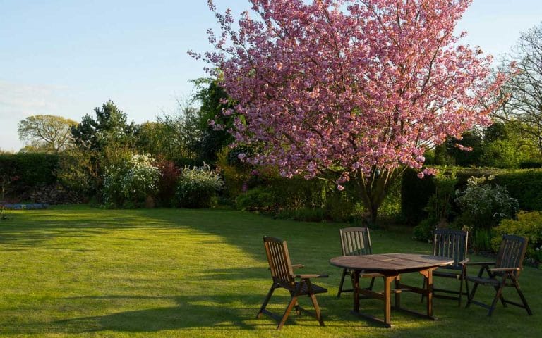 Jardin privatif du gite dans le golfe du Morbihan